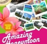 Amazing Honeymoon / Hamid Bahari