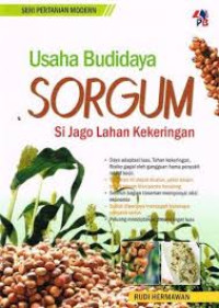 Usaha Budidaya Sorgum Si Jago Lahan Kekeringan/Rudi Hermawan